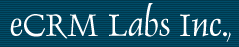 eCRM Labs Inc
